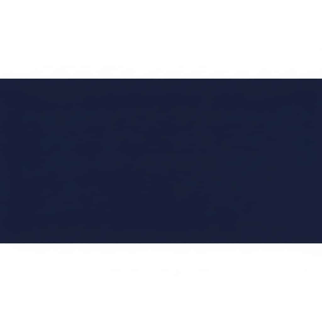 A solid dark navy blue rectangle centered on a white background.
